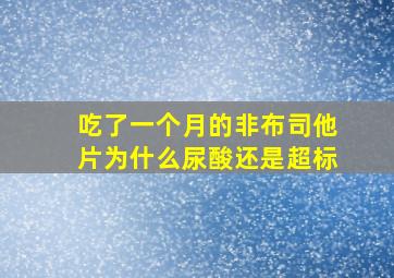 吃了一个月的非布司他片为什么尿酸还是超标