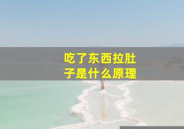 吃了东西拉肚子是什么原理