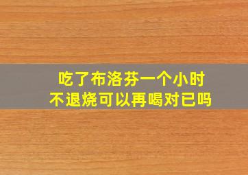 吃了布洛芬一个小时不退烧可以再喝对已吗