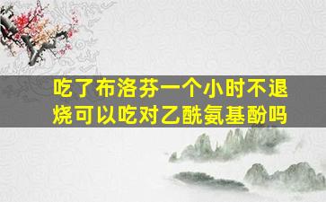 吃了布洛芬一个小时不退烧可以吃对乙酰氨基酚吗