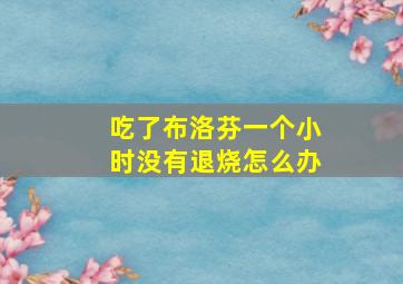 吃了布洛芬一个小时没有退烧怎么办