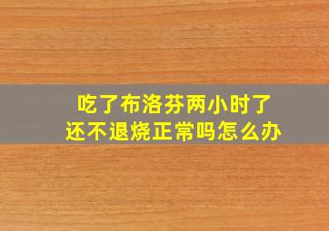 吃了布洛芬两小时了还不退烧正常吗怎么办