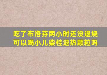 吃了布洛芬两小时还没退烧可以喝小儿柴桂退热颗粒吗