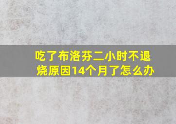 吃了布洛芬二小时不退烧原因14个月了怎么办