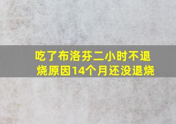 吃了布洛芬二小时不退烧原因14个月还没退烧