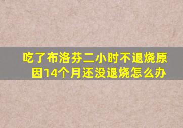 吃了布洛芬二小时不退烧原因14个月还没退烧怎么办