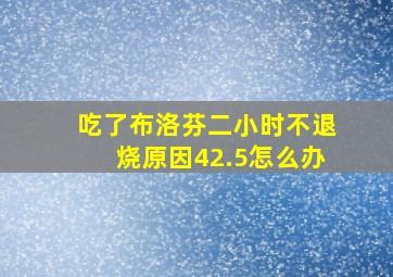 吃了布洛芬二小时不退烧原因42.5怎么办