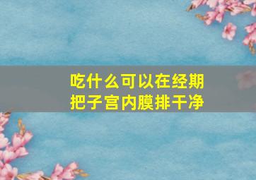 吃什么可以在经期把子宫内膜排干净