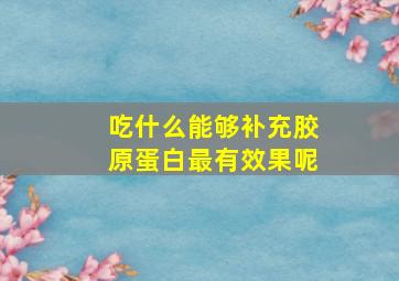 吃什么能够补充胶原蛋白最有效果呢