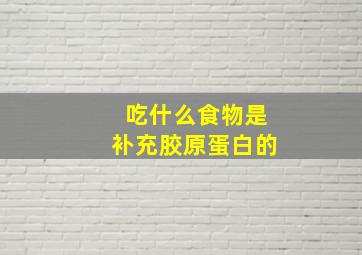 吃什么食物是补充胶原蛋白的