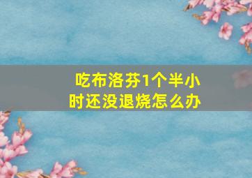 吃布洛芬1个半小时还没退烧怎么办