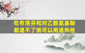 吃布洛芬和对乙酰氨基酚都退不了烧可以用退热栓