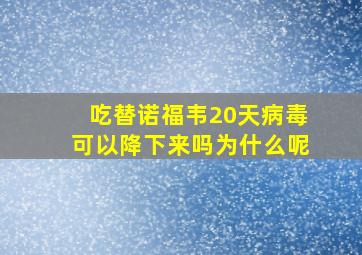 吃替诺福韦20天病毒可以降下来吗为什么呢