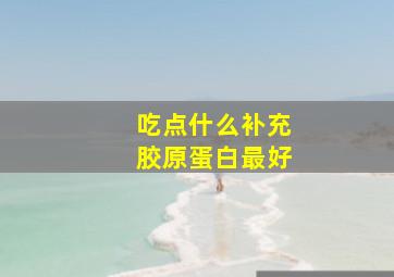 吃点什么补充胶原蛋白最好