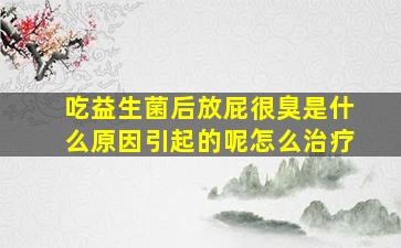 吃益生菌后放屁很臭是什么原因引起的呢怎么治疗