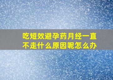 吃短效避孕药月经一直不走什么原因呢怎么办