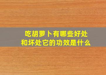 吃胡萝卜有哪些好处和坏处它的功效是什么