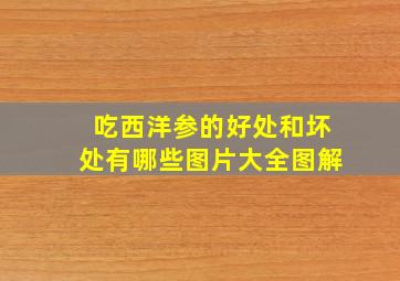 吃西洋参的好处和坏处有哪些图片大全图解