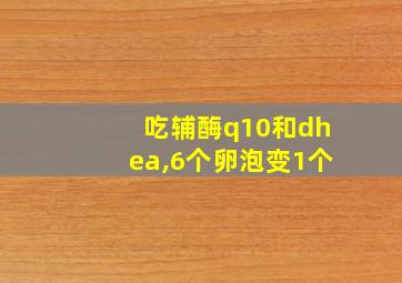 吃辅酶q10和dhea,6个卵泡变1个