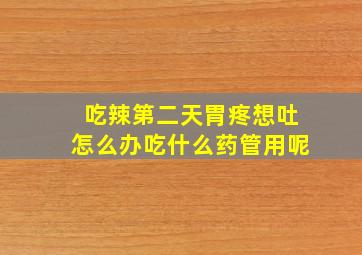 吃辣第二天胃疼想吐怎么办吃什么药管用呢