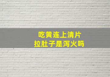 吃黄连上清片拉肚子是泻火吗