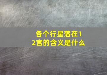 各个行星落在12宫的含义是什么