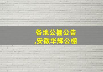 各地公棚公告,安徽华辉公棚