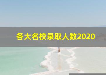 各大名校录取人数2020