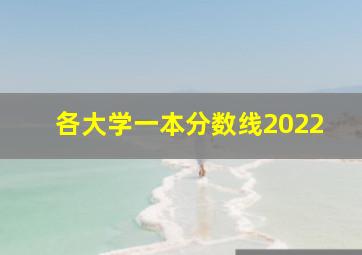 各大学一本分数线2022