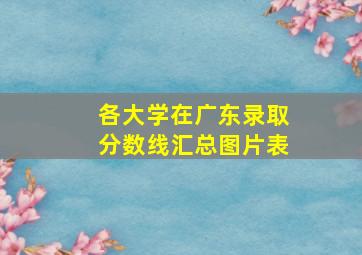 各大学在广东录取分数线汇总图片表