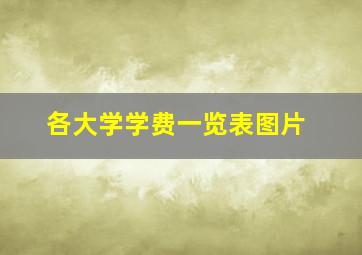 各大学学费一览表图片