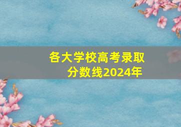 各大学校高考录取分数线2024年