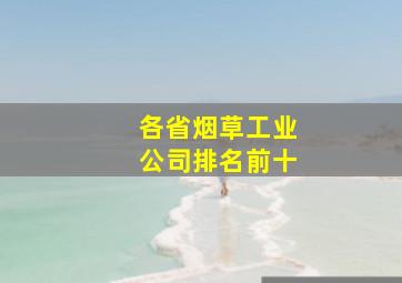 各省烟草工业公司排名前十