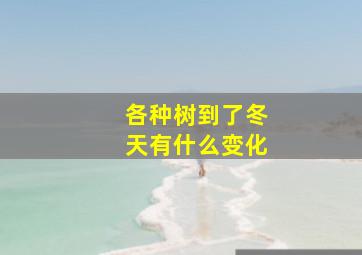 各种树到了冬天有什么变化