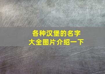 各种汉堡的名字大全图片介绍一下