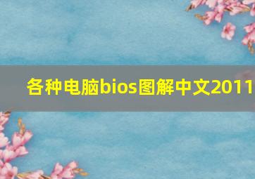 各种电脑bios图解中文2011