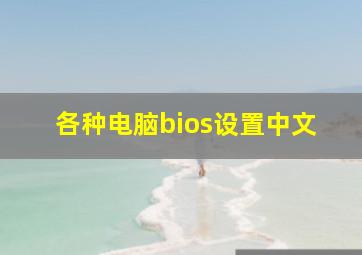 各种电脑bios设置中文