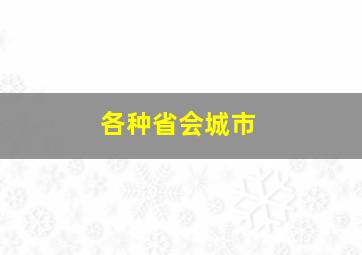 各种省会城市