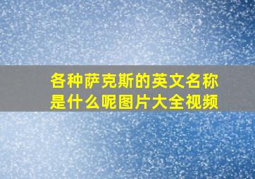 各种萨克斯的英文名称是什么呢图片大全视频