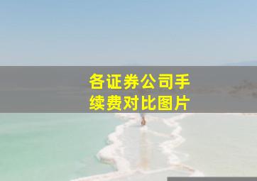 各证券公司手续费对比图片