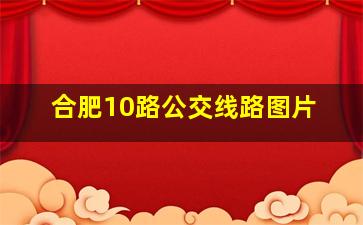 合肥10路公交线路图片