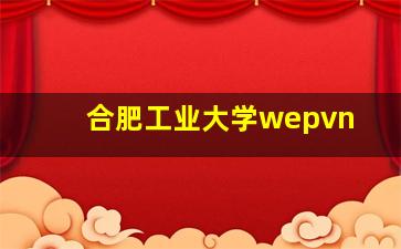 合肥工业大学wepvn