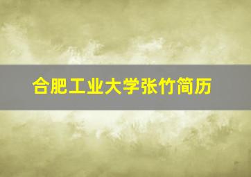 合肥工业大学张竹简历