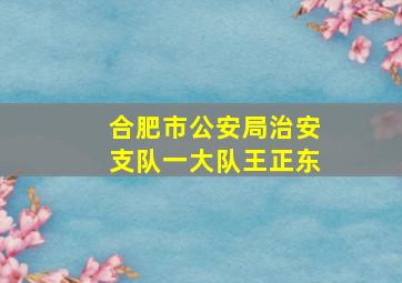 合肥市公安局治安支队一大队王正东