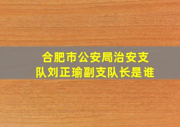 合肥市公安局治安支队刘正瑜副支队长是谁