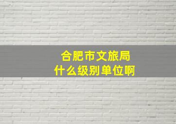 合肥市文旅局什么级别单位啊