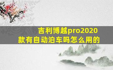 吉利博越pro2020款有自动泊车吗怎么用的