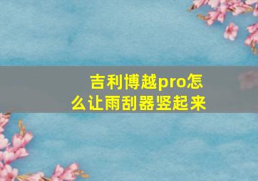 吉利博越pro怎么让雨刮器竖起来