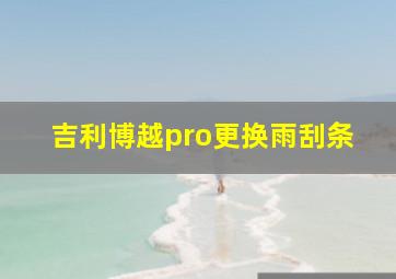 吉利博越pro更换雨刮条