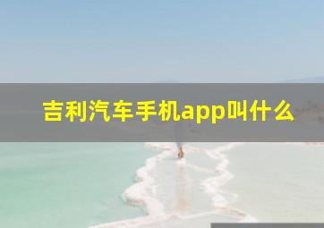 吉利汽车手机app叫什么